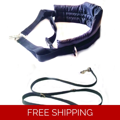 MM DOGGEAR, Multiple Dog Walking Belt + Adjustable dog Lead